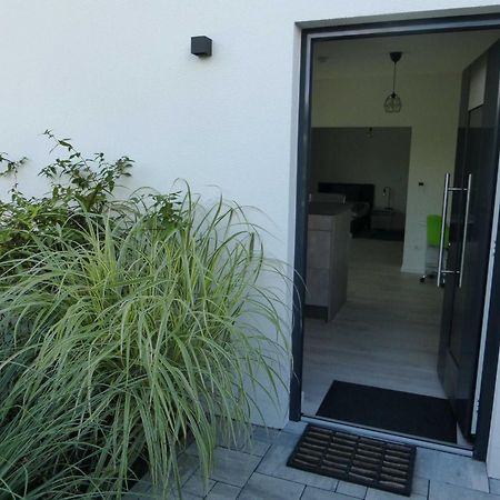 Forststrasse Apartment Stockstadt am Main Kültér fotó