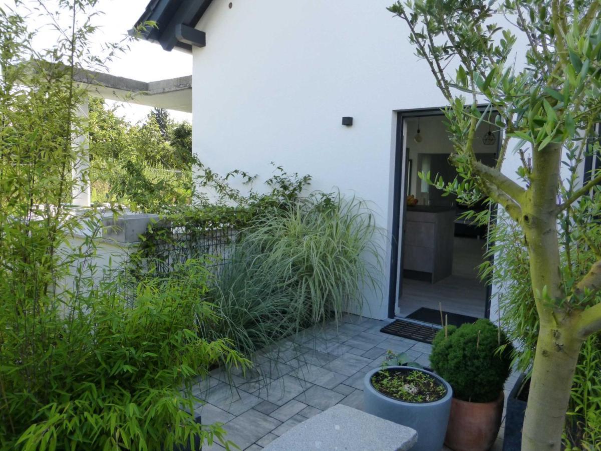 Forststrasse Apartment Stockstadt am Main Kültér fotó